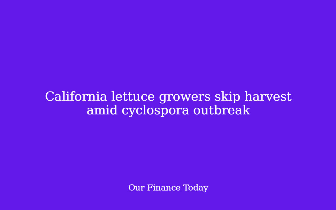 California lettuce growers skip harvest amid cyclospora outbreak